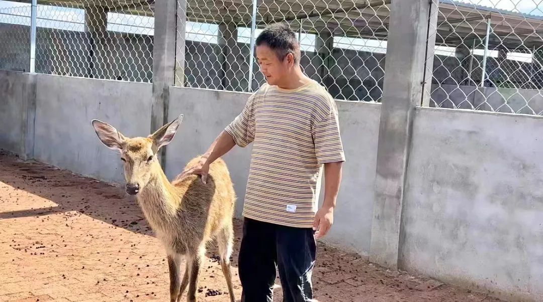 mg娱乐场线路检测